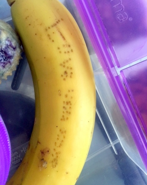 Halle: I felt like a kind super-villian writing my sister’s note on her banana.