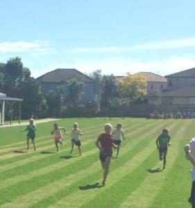 0E09C29E-1A15-41FA-BF43-FC8BAFFD36BE