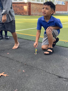 6 (1) (1) (1) (1) (1)