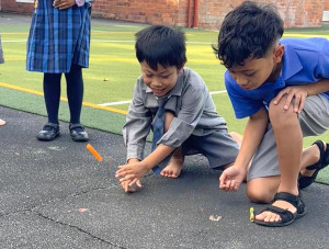 7 (1) (1) (1) (1) (1) (1)