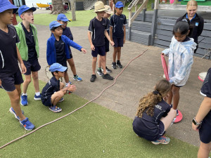 IMG 2017-Copy (1) (1)