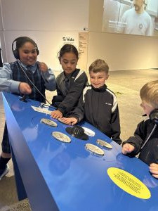 IMG 6087 (1) (1) (1)