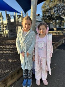 IMG 7096
