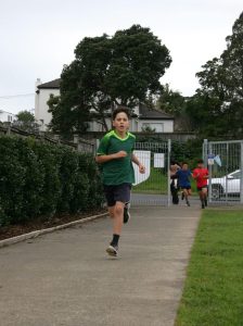 IMG 7709