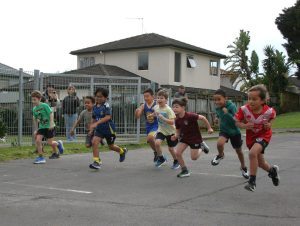 IMG 7738 (1) (1)