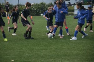IMG 7778