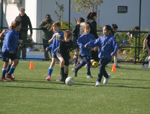 IMG 7802