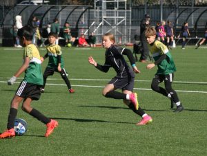 IMG 7847