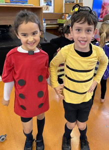 Pic-2 (1) (1) (1) (1) (1)