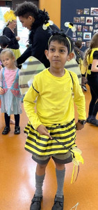 Pic-3 (1) (1) (1) (1) (1)