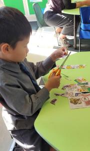 Pic 1 (1) (1) (1) (1) (1) (1) (1) (1) (1) (1)