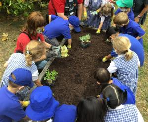 Pic 7 (1) (1) (1) (1)