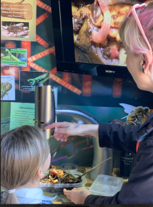 Screenshot-2025-03-27-135816