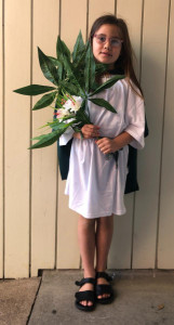 pic-14 (1) (1) (1) (1) (1) (1) (1) (1)