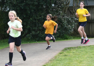 pic-27 (1) (1) (1) (1) (1) (1)