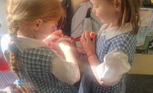 pic-5 (1) (1) (1) (1) (1) (1) (1) (1) (1) (1) (1)