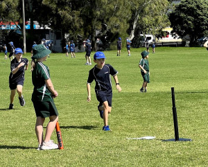 pic10 (1) (1) (1) (1) (1) (1) (1) (1)