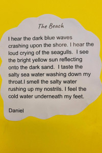 pic10 (1) (1) (1) (1) (1) (1) (1) (1) (1) (1) (1)