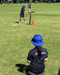 pic16 (1) (1) (1) (1) (1)