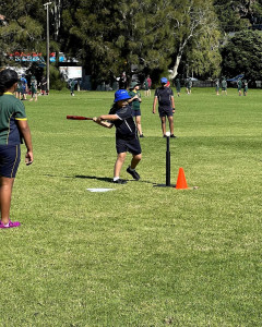 pic17 (1) (1) (1) (1) (1)