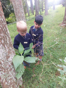 pic27 (1) (1) (1) (1) (1)