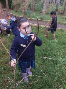 pic28 (1) (1) (1) (1) (1)