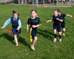 pic29 (1) (1) (1) (1)