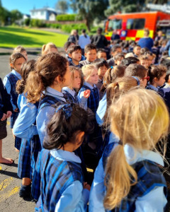 pic3 (1) (1) (1) (1) (1) (1) (1) (1) (1) (1) (1) (1) (1)