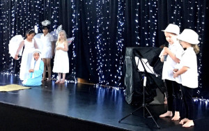 pic5 (1) (1) (1) (1)