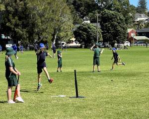 pic9 (1) (1) (1) (1) (1) (1) (1) (1)