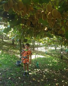 received 2816828791764108