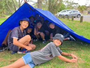 zDNeljr9 (1) (1) (1)